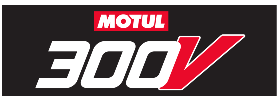 Ｍ 300V FLAG 600×1800